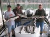 (09/24/2015) - Nice Striped Bass